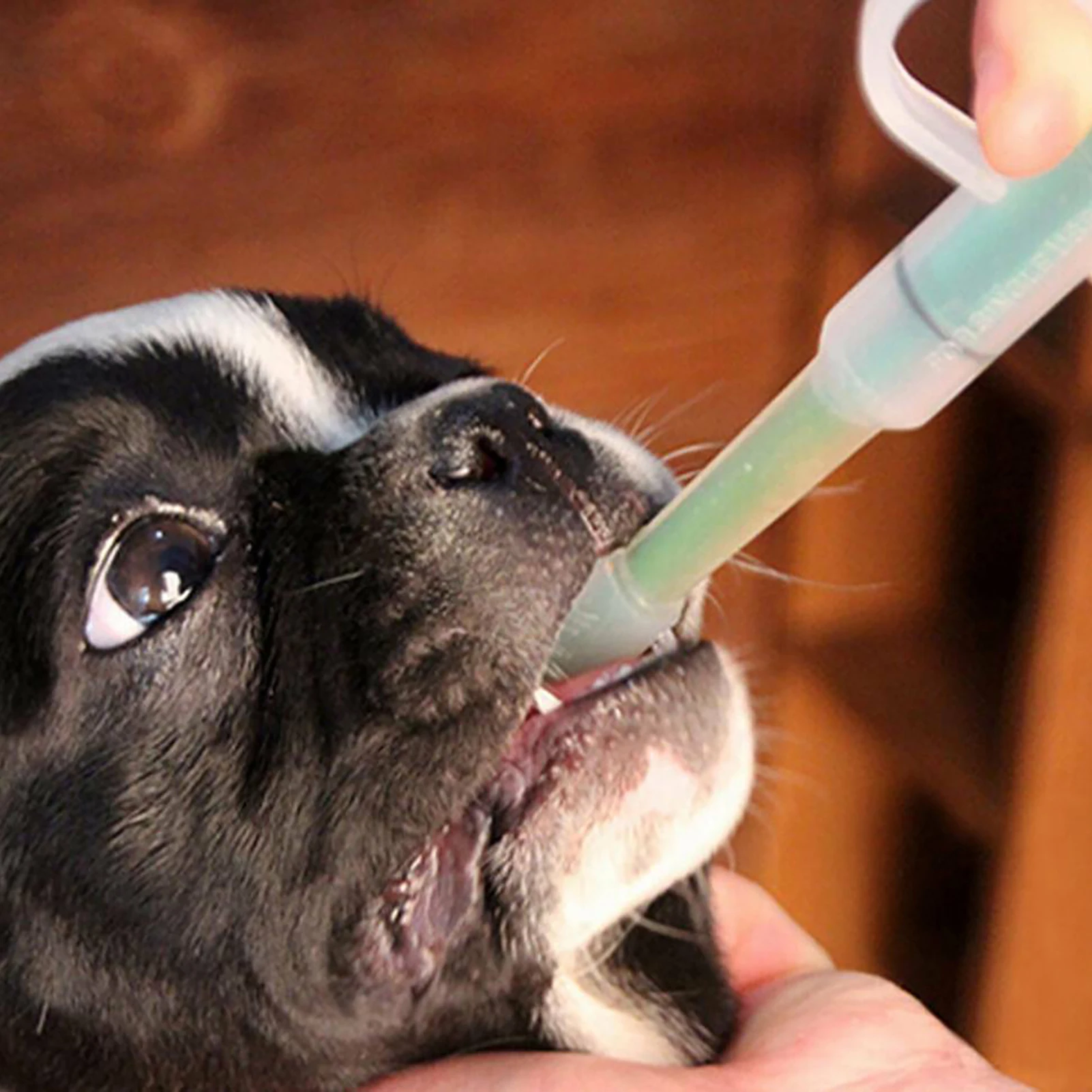 Pet Dog Puppy Cat Medicine Capsule Tablet Liquid Dropper Pipette-Feeding Hack Pet Dog Feeding Kit, Push Tube,Narzędzia Do karmienia Psów