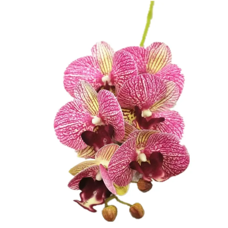 10 Szt. Sztuczne Krótkie Łodygi Motyl Orchidea Obecnie Dotyk Lateks Storczyk Phalaenopsis do Kina Kwiatowy Ozdoby