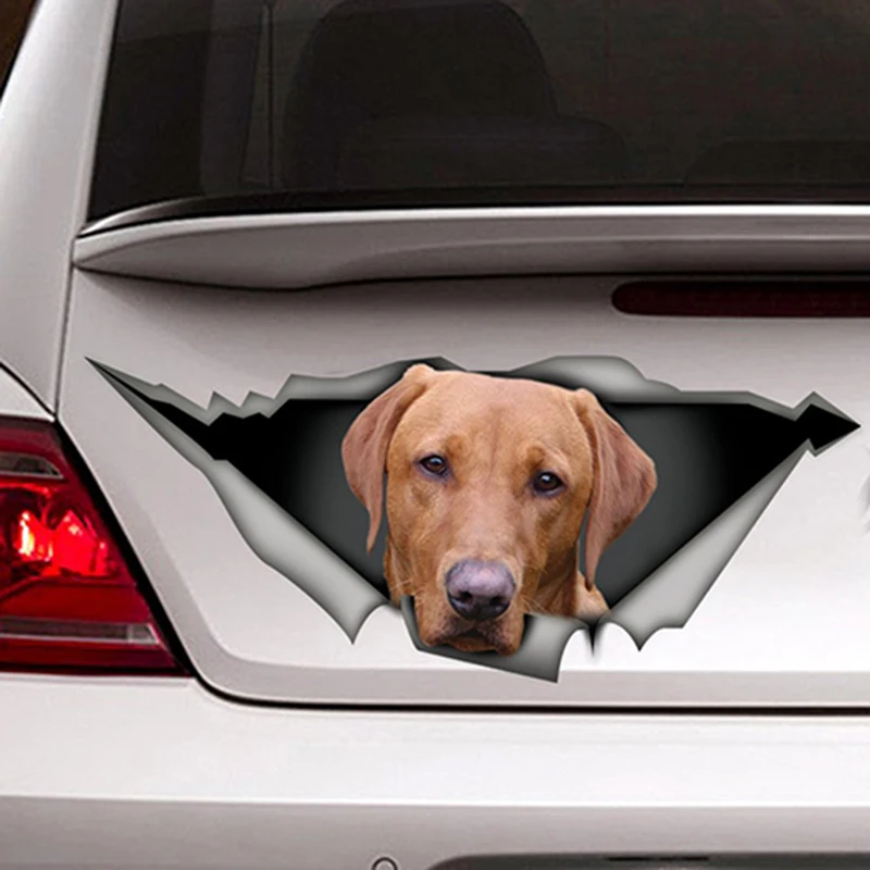 EARLFAMILY 13 cm x 5,5 cm Czerwony Labrador Samochodowa Naklejka Uszkodzenie Metalowe Naklejki Odblaskowe Naklejki Wodoodporne 3D Stylizacja Samochodu Pet Dog Naklejki