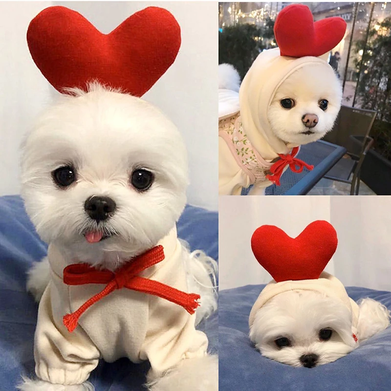 Ciepła Kurtka dla Psów domowych Cute Fruit Dogs Winter Clothes Fleece Puppy Hoodies Dog Jacket for Chihuahua Teddy Pet Costume Ropa Para Perro