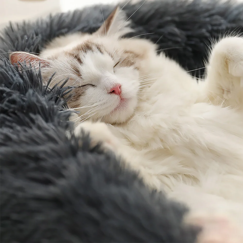 Okrągłe Miękkie Kocie Łóżka Dom Długi Plusz Najlepszy Pies Łóżko Materiały Poduszka Kot Łóżko Kot Mata Zwierzęta Kanapy Do Spania Dla Psów Kosz