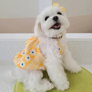 Wiosna i lato nowy zwierzak chusta Bichon plusz pies spódnica bańka kwiat kamizelka oddychająca odzież dla zwierząt domowych
