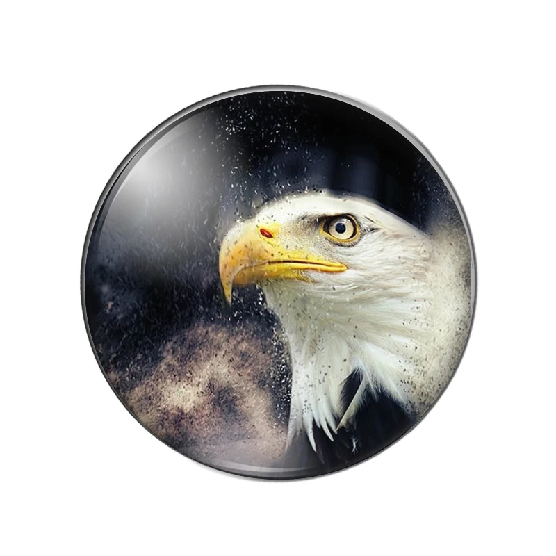 New animals eagle beauty 8mm/10mm/12mm/18mm/20mm/Round photo szkło cabochon demo flat back Making findings ZB0543