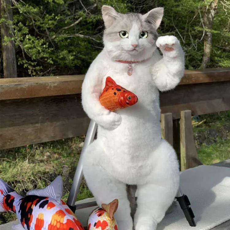 Nowy Kawaii Symulacja Ładny Kot Plecak Realistyczne I Fałszywe Kot Forma Plecak Dla Dzieci Basen Pluszowe Zabawki Kreskówka Prezenty