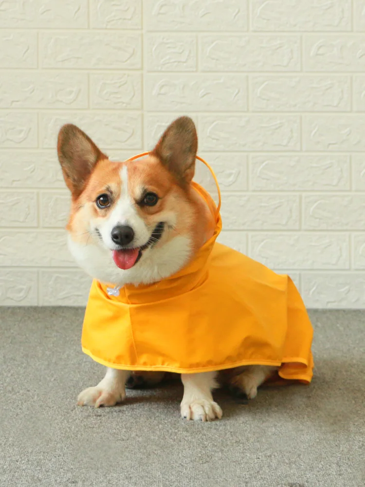 Pies płaszcz mały pies materiały Teddy Corgi specjalna wodoodporna odzież dla psów średnia четырехногая all inclusive pępek