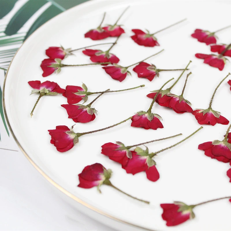 12 szt./Lot Małe Prawdziwe Suszone Chińskie Róże Boczne Tłoczone do Produkcji Mydła Żywica Ramka Naturalne Kwiaty w Świeczniki DIY