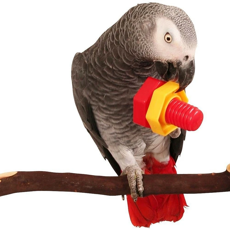 Plastikowa Ptak Gry Zabawki Kreatywne Śruba Interaktywna Ptak Zabawki Edukacyjne Papuga Żuć Zabawki Dla zwierząt Domowych, Ptaków Papugi Gołąb Dostawy 1 szt.