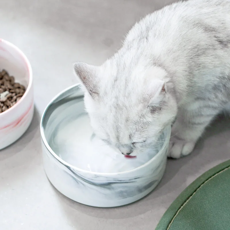 Kot miska ceramiczna Kot Fontanny Projektowanie Mody Kot Fontanna Wody pies jedzenie miska drewniana podstawka ceramiczna miska PET