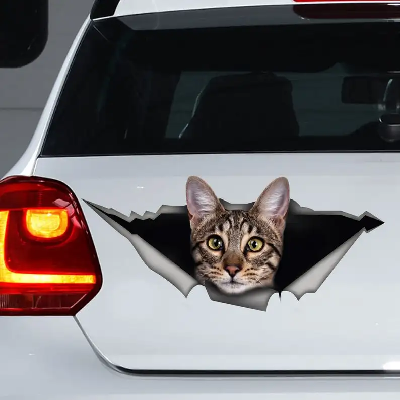 2021 Savannah cat decal, cat car decal, funny sticker, cat car sticker